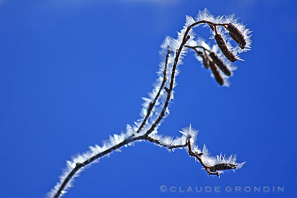 Givre