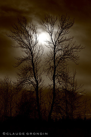 Laisser la lumière entrer - Let the light come in