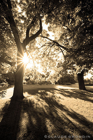 La fin d'une belle journée d'été - The end of a beautiful summer day