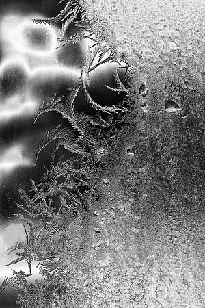 Monsieur l'Hiver