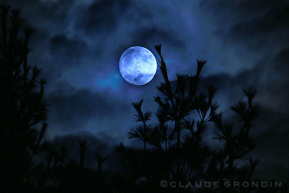 Soir de pleine lune - Full moon display